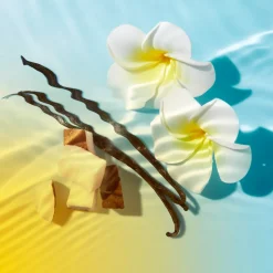 Anti-oxydants|Crème De Jour|NUXE Crème Fondante Visage SPF 50